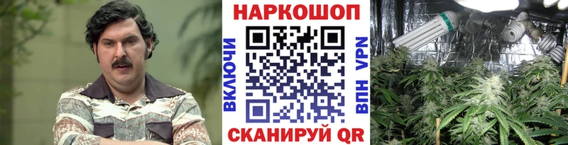 Названия наркотиков Мензелинск Alpha PVP Меф Псилоцибиновые грибы Марихуана АМФЕТАМИН
