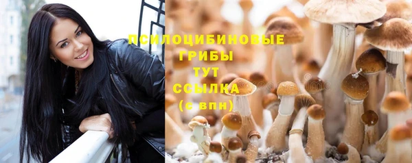 молекула духа Надым