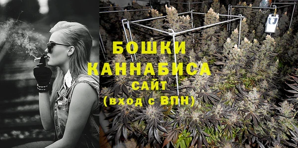 молекула духа Надым