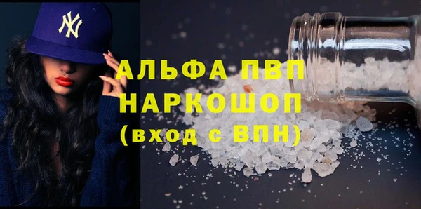молекула духа Надым